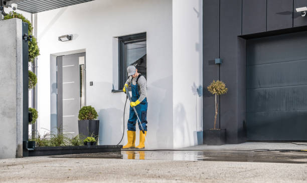 Best Driveway Pressure Washing  in Moore Haven, FL